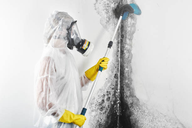 Best Mold Documentation for Insurance Claims  in Commerce, GA