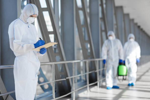 Best Attic Mold Removal  in Commerce, GA
