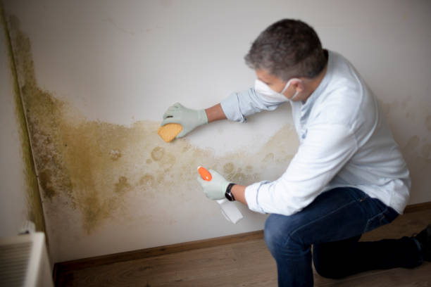 Best Asbestos and Lead Testing During Mold Inspection  in Commerce, GA
