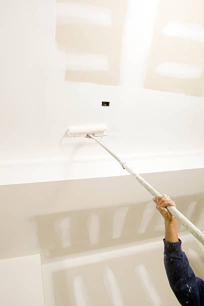  Commerce, GA Mold Removal Pros