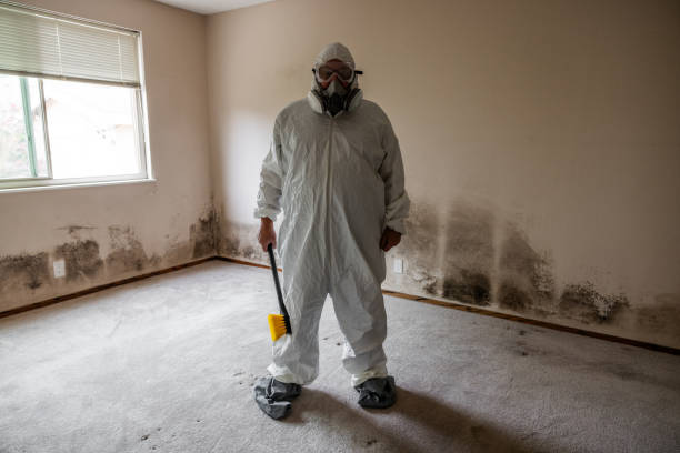 Best Mold Damage Restoration  in Commerce, GA